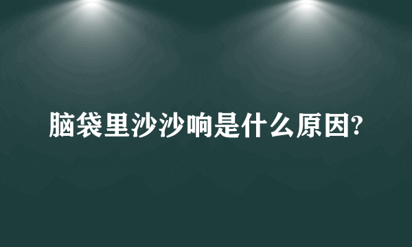 脑袋里沙沙响是什么原因?