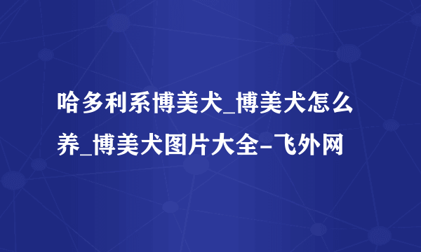 哈多利系博美犬_博美犬怎么养_博美犬图片大全-飞外网