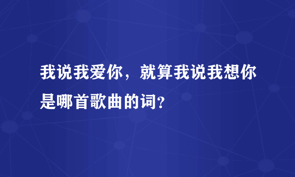 我说我爱你，就算我说我想你是哪首歌曲的词？