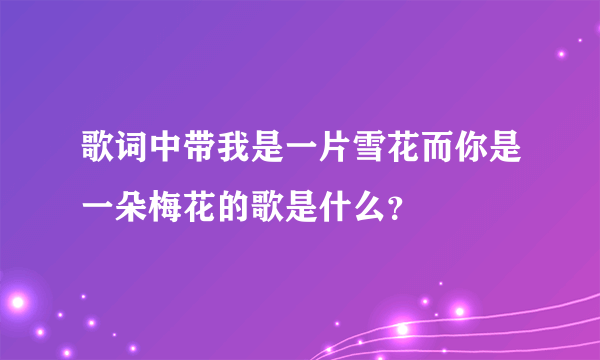 歌词中带我是一片雪花而你是一朵梅花的歌是什么？