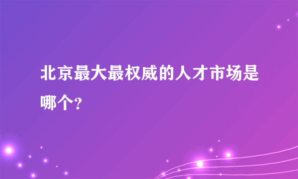 北京最大最权威的人才市场是哪个？