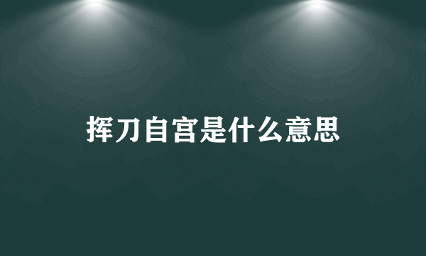 挥刀自宫是什么意思