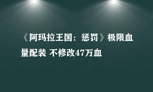 《阿玛拉王国：惩罚》极限血量配装 不修改47万血