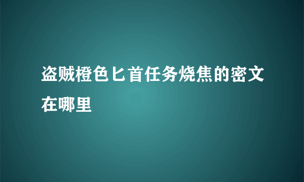 盗贼橙色匕首任务烧焦的密文在哪里