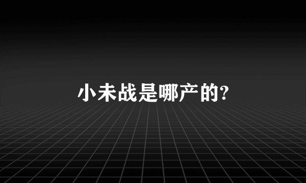 小未战是哪产的?