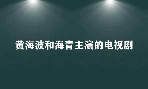 黄海波和海青主演的电视剧