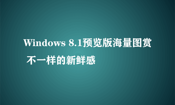 Windows 8.1预览版海量图赏 不一样的新鲜感