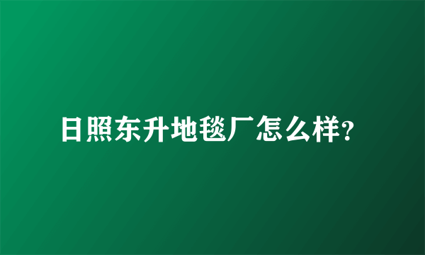 日照东升地毯厂怎么样？