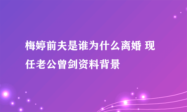 梅婷前夫是谁为什么离婚 现任老公曾剑资料背景