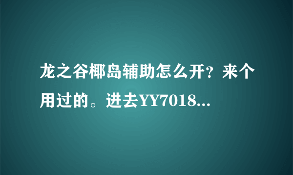 龙之谷椰岛辅助怎么开？来个用过的。进去YY7018频道后然后怎么做？把详细步骤讲下，谢了！