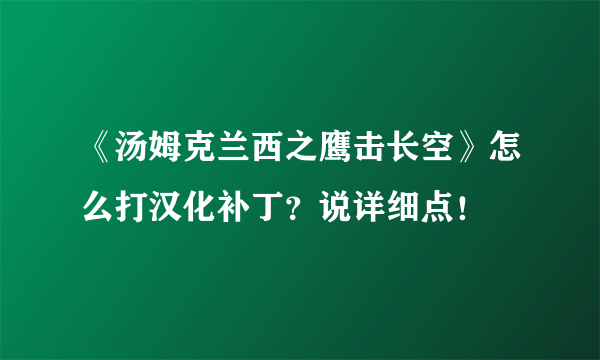 《汤姆克兰西之鹰击长空》怎么打汉化补丁？说详细点！