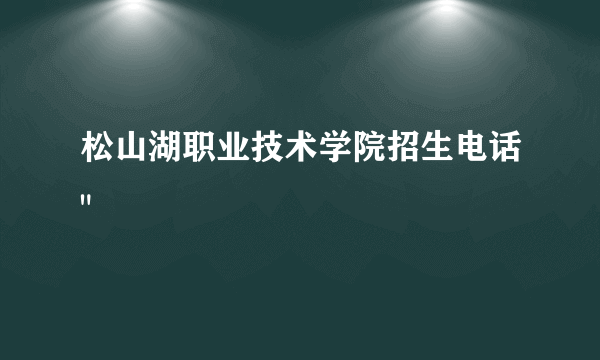 松山湖职业技术学院招生电话