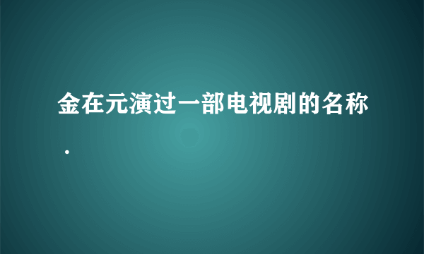 金在元演过一部电视剧的名称 .