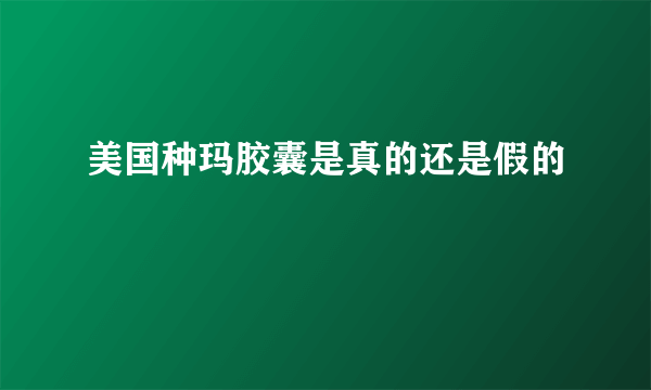 美国种玛胶囊是真的还是假的