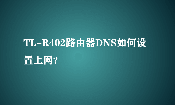 TL-R402路由器DNS如何设置上网?