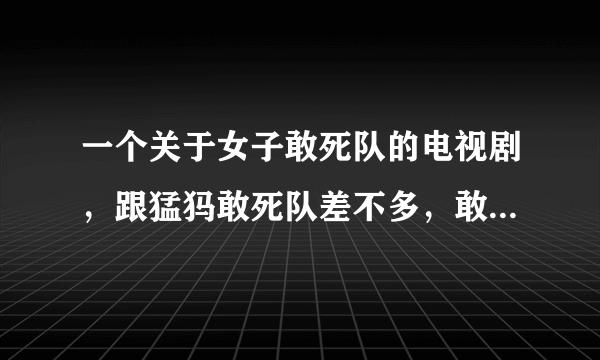 一个关于女子敢死队的电视剧，跟猛犸敢死队差不多，敢死队中有一个女的姓冷，