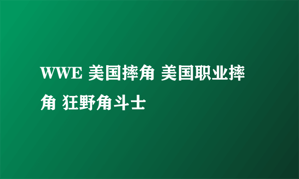 WWE 美国摔角 美国职业摔角 狂野角斗士