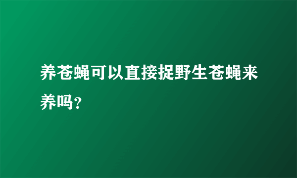 养苍蝇可以直接捉野生苍蝇来养吗？