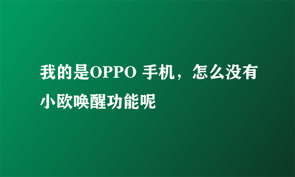 我的是OPPO 手机，怎么没有小欧唤醒功能呢