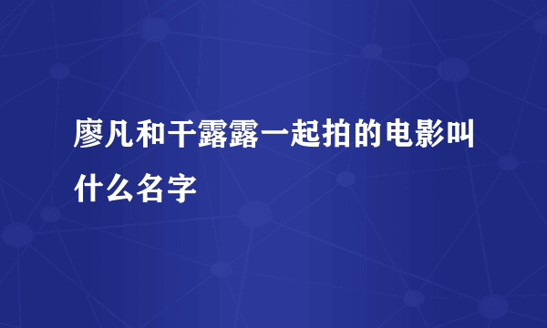 廖凡和干露露一起拍的电影叫什么名字