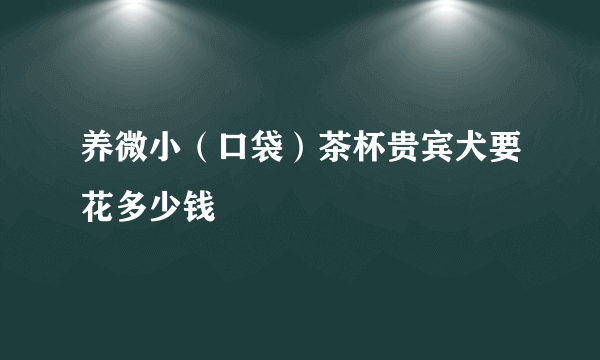 养微小（口袋）茶杯贵宾犬要花多少钱