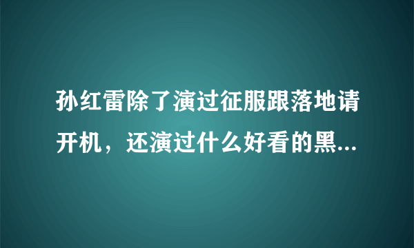 孙红雷除了演过征服跟落地请开机，还演过什么好看的黑道大哥电视剧，求推介