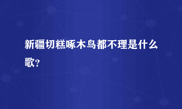 新疆切糕啄木鸟都不理是什么歌？