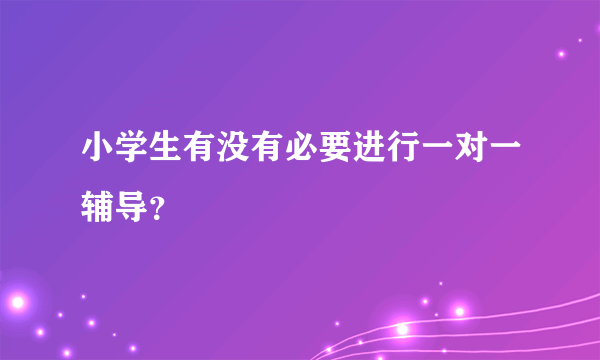 小学生有没有必要进行一对一辅导？