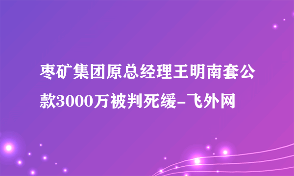 枣矿集团原总经理王明南套公款3000万被判死缓-飞外网