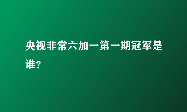 央视非常六加一第一期冠军是谁？