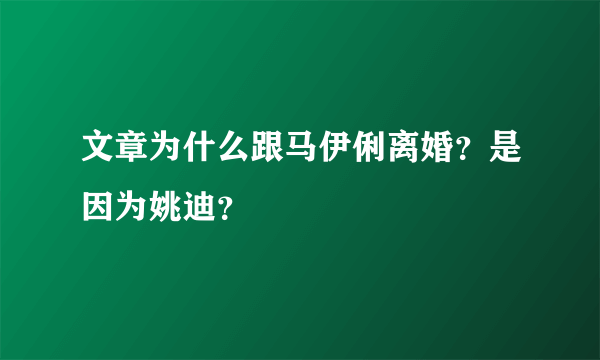 文章为什么跟马伊俐离婚？是因为姚迪？