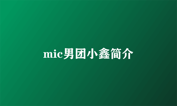 mic男团小鑫简介