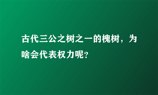 古代三公之树之一的槐树，为啥会代表权力呢？