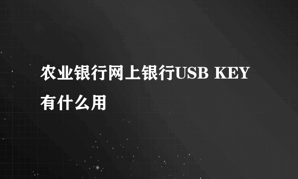 农业银行网上银行USB KEY有什么用