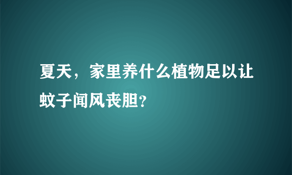 夏天，家里养什么植物足以让蚊子闻风丧胆？