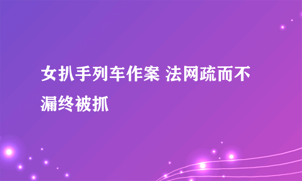 女扒手列车作案 法网疏而不漏终被抓