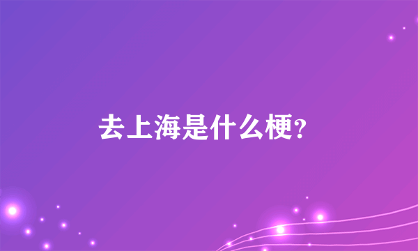 去上海是什么梗？