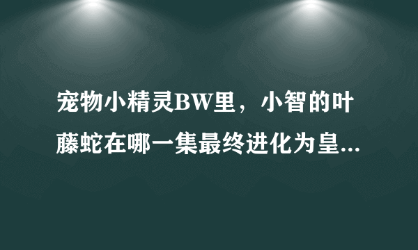 宠物小精灵BW里，小智的叶藤蛇在哪一集最终进化为皇室腾蛇?