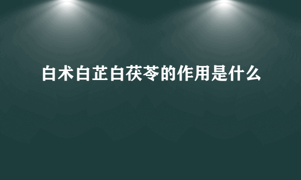 白术白芷白茯苓的作用是什么