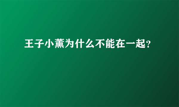 王子小薰为什么不能在一起？