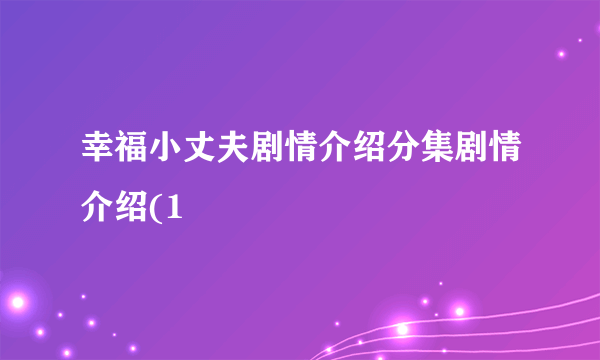 幸福小丈夫剧情介绍分集剧情介绍(1