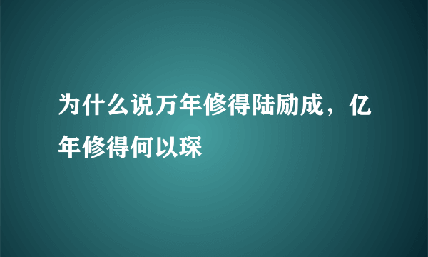 为什么说万年修得陆励成，亿年修得何以琛