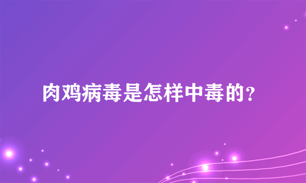 肉鸡病毒是怎样中毒的？