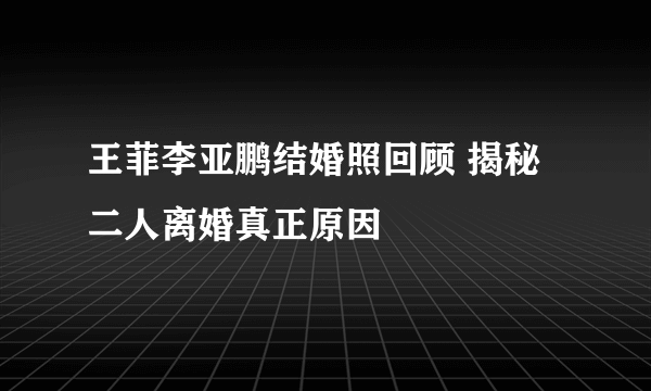 王菲李亚鹏结婚照回顾 揭秘二人离婚真正原因