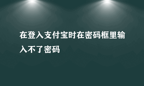 在登入支付宝时在密码框里输入不了密码