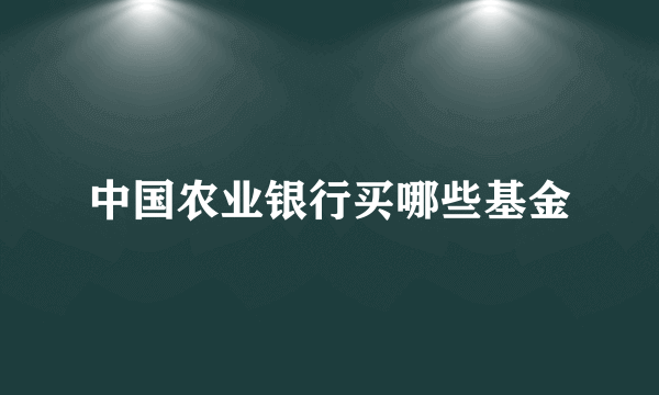 中国农业银行买哪些基金