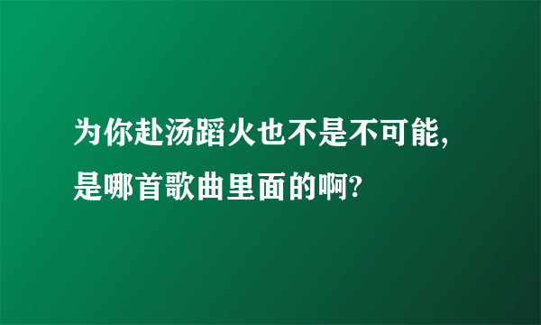 为你赴汤蹈火也不是不可能,是哪首歌曲里面的啊?