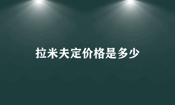 拉米夫定价格是多少