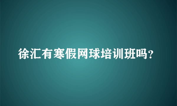 徐汇有寒假网球培训班吗？