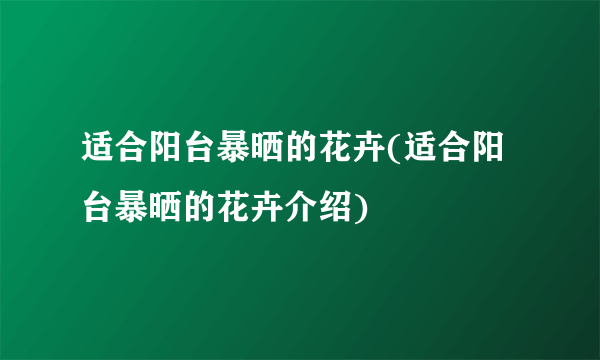 适合阳台暴晒的花卉(适合阳台暴晒的花卉介绍)